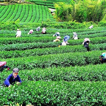 Tianyi Homestay เฟิ่นฉี่หู ภายนอก รูปภาพ