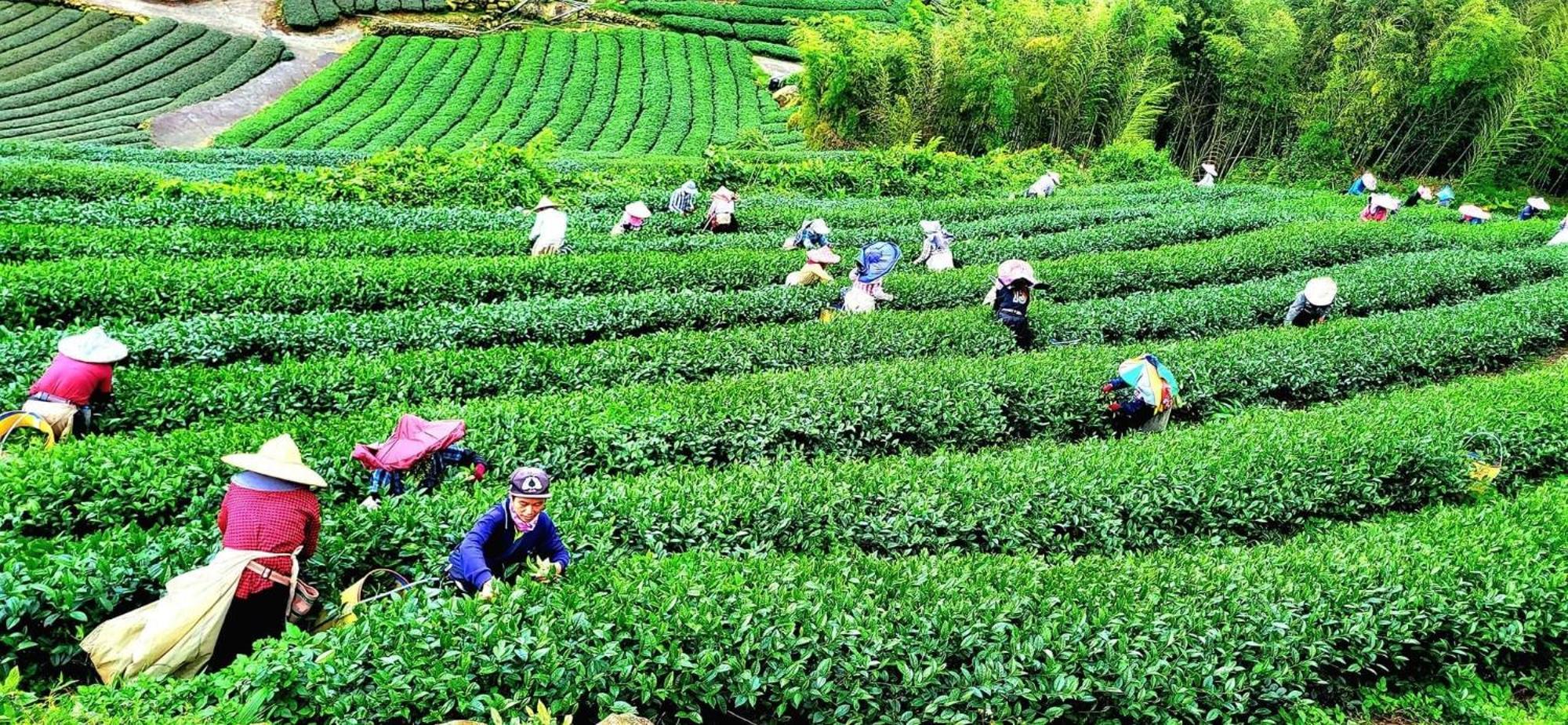 Tianyi Homestay เฟิ่นฉี่หู ภายนอก รูปภาพ